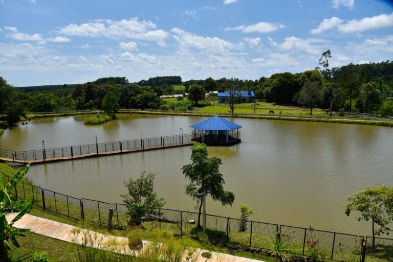 036 18012020  DSC6302 768x513