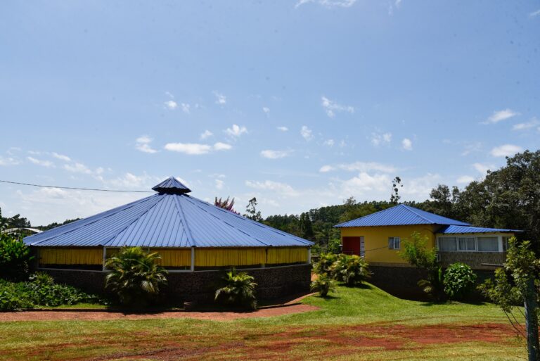 046 18012020  DSC6313 768x513