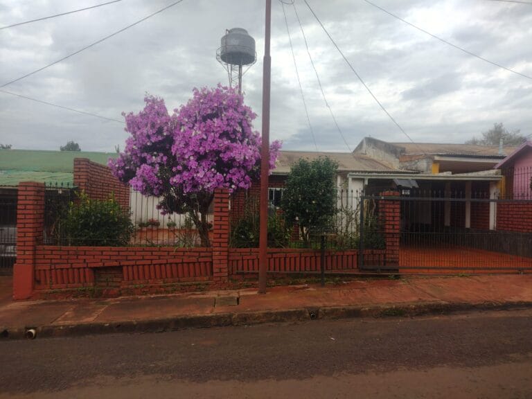 Imagen de WhatsApp 2025 10 08 a las 11.50.55 803efa50 768x576